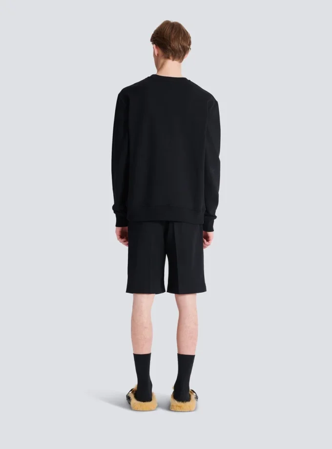Pullover mit Kettenlöwen-Knöpfen Pullover mit Kettenlöwen-Knöpfen